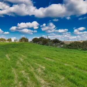 5,017m² Land for Sale in Choirokoitia, Larnaca District