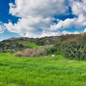 5,017m² Land for Sale in Choirokoitia, Larnaca District