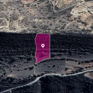 15,337m² Plot for Sale in Pachna, Limassol District