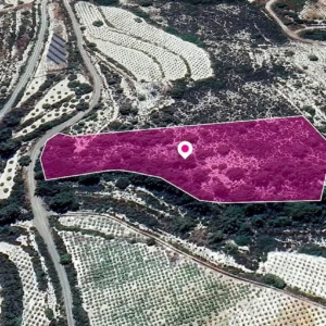 7,479m² Plot for Sale in Agios Mamas, Limassol District