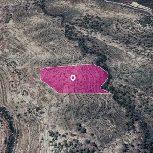 38,462m² Plot for Sale in Agios Therapon, Limassol District