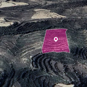 13,713m² Plot for Sale in Pachna, Limassol District