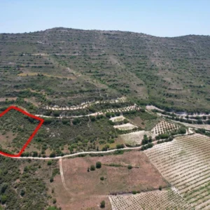 5,686m² Plot for Sale in Pachna, Limassol District