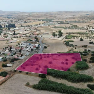 8,696m² Plot for Sale in Troulloi, Larnaca District