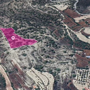 8,696m² Plot for Sale in Agios Therapon, Limassol District
