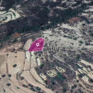 2,007m² Plot for Sale in Agios Mamas, Limassol District