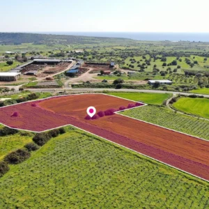 13,044m² Plot for Sale in Avdimou, Limassol District