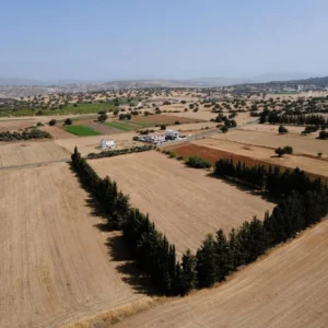 4,000m² Plot for Sale in Kouklia, Paphos District
