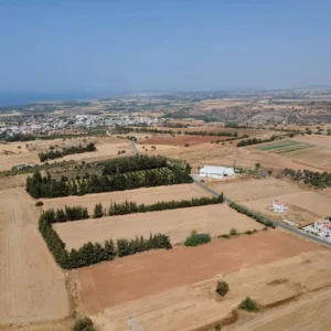 4,000m² Plot for Sale in Kouklia, Paphos District