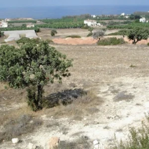 4,683m² Plot for Sale in Pegeia, Paphos District