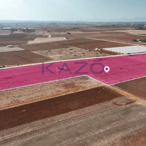 27,327m² Plot for Sale in Ormideia, Larnaca District