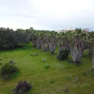 9,730m² Plot for Sale in Xylofagou, Larnaca District