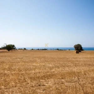 28,438m² Plot for Sale in Agios Theodoros, Larnaca District