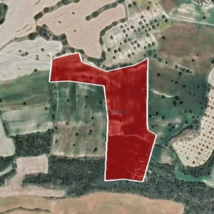 30,101m² Plot for Sale in Agios Theodoros, Larnaca District