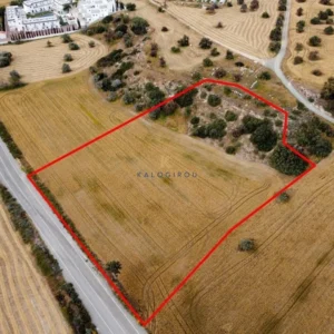 8,362m² Plot for Sale in Mazotos, Larnaca District