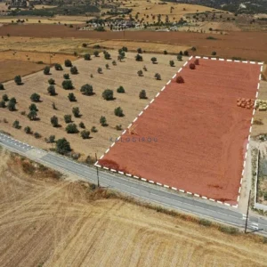 9,636m² Plot for Sale in Alaminos, Larnaca District