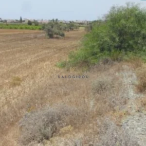 5,830m² Plot for Sale in Mazotos, Larnaca District