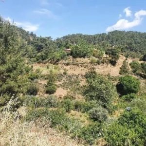 4,014m² Plot for Sale in Vavatsinia, Larnaca District