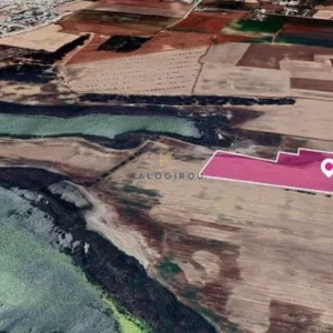 18,274m² Plot for Sale in Meneou, Larnaca District