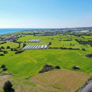 26,757m² Plot for Sale in Maroni, Larnaca District