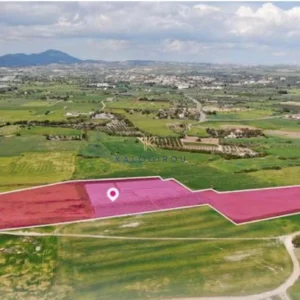 36,456m² Plot for Sale in Mazotos, Larnaca District