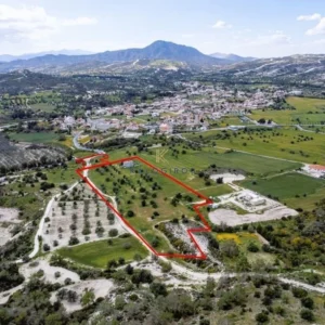 29,099m² Plot for Sale in Alethriko, Larnaca District