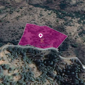 19,287m² Plot for Sale in Pedoulas, Nicosia District