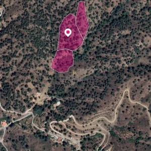 18m² Plot for Sale in Kakopetria, Nicosia District