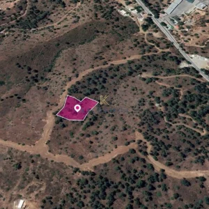 3,345m² Plot for Sale in Evrychou, Nicosia District