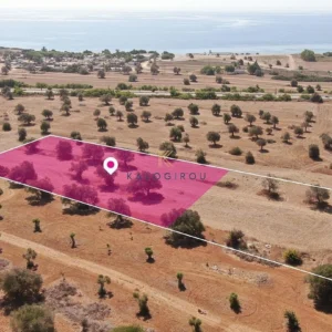 3,512m² Plot for Sale in Mazotos, Larnaca District