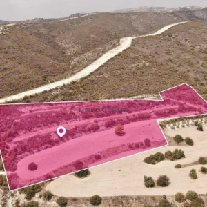 16,945m² Plot for Sale in Skarinou, Larnaca District