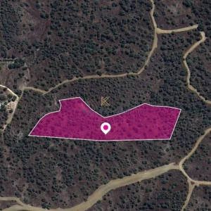 20m² Plot for Sale in Evrychou, Nicosia District