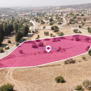 9,000m² Plot for Sale in Tochni, Larnaca District