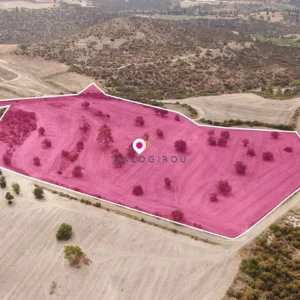 27,050m² Plot for Sale in Skarinou, Larnaca District