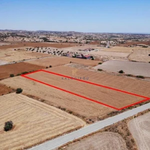 6,096m² Plot for Sale in Alaminos, Larnaca District