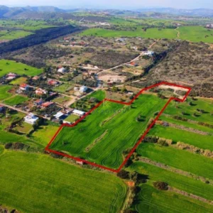 17,057m² Plot for Sale in Agios Theodoros, Larnaca District