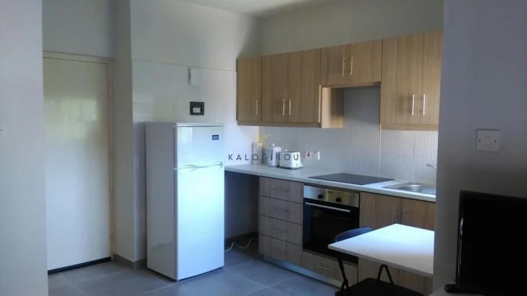 Cheap Apartments for Rent Larnaca up to 800 euro