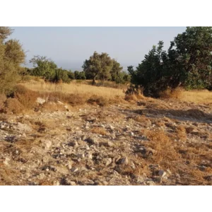 Plot for Sale in Limassol District