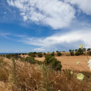 10,033m² Plot for Sale in Anarita, Paphos District