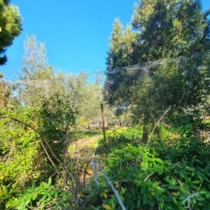 3,085m² Plot for Sale in Evrychou, Nicosia District