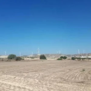 13,713m² Plot for Sale in Tersefanou, Larnaca District