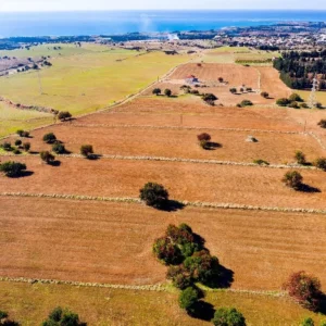 19,399m² Plot for Sale in Kouklia, Paphos District