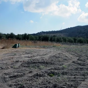 10,368m² Plot for Sale in Larnaca District