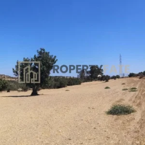 9,303m² Plot for Sale in Kalavasos, Larnaca District