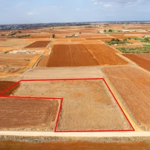 5,743m² Plot for Sale in Xylofagou, Larnaca District