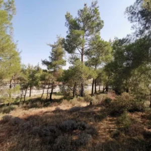 635m² Plot for Sale in Lythrodontas, Nicosia District