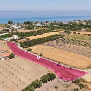 5,519m² Plot for Sale in Argaka, Paphos District