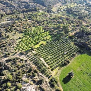 7,024m² Plot for Sale in Kalavasos, Larnaca District