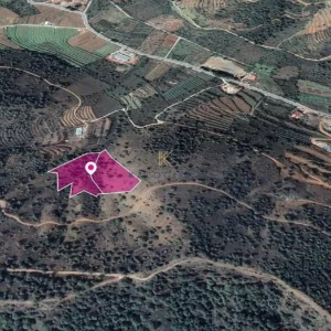 12,041m² Plot for Sale in Tsakistra, Nicosia District