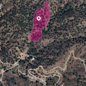 18,062m² Plot for Sale in Kakopetria, Nicosia District